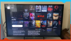 PS5 Pro screen showing the Netflix app selected with the download button